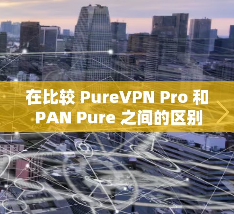 在比较 PureVPN Pro 和 PAN Pure 之间的区别时,以下是一个总结性的分析,帮助您做出明智的选择 在比较 PureVPN Pro 和 PAN Pure 之间的区别时,以下是一个总结性的分析,帮助您做出明智的选择