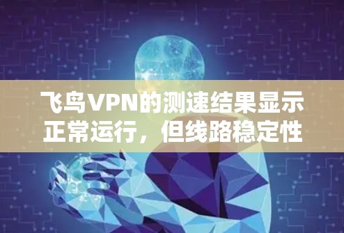 飞鸟VPN的测速结果显示正常运行,但线路稳定性较差,这可能与飞鸟VPN的网络环境有关。以下是对线路稳定性的分析和建议 飞鸟VPN的测速结果显示正常运行,但线路稳定性较差,这可能与飞鸟VPN的网络环境有关。以下是对线路稳定性的分析和建议