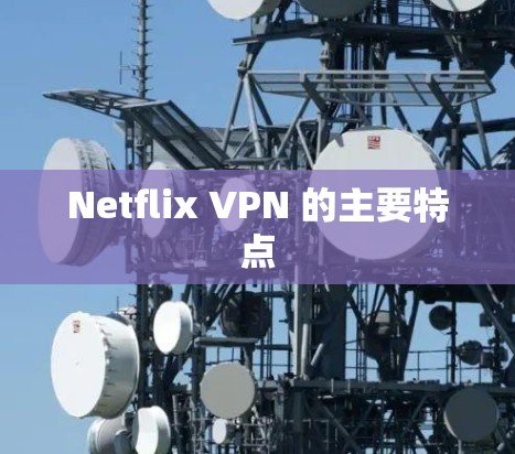 Netflix VPN 的主要特点 Netflix VPN 的主要特点