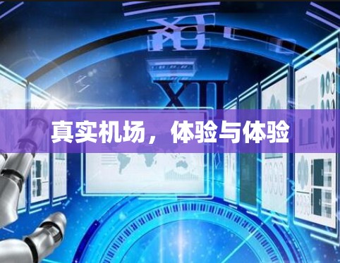 真实机场,体验与体验 真实机场,体验与体验