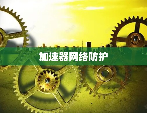 加速器网络防护 加速器网络防护