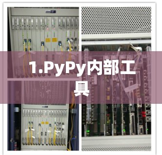 1.PyPy内部工具 1.PyPy内部工具