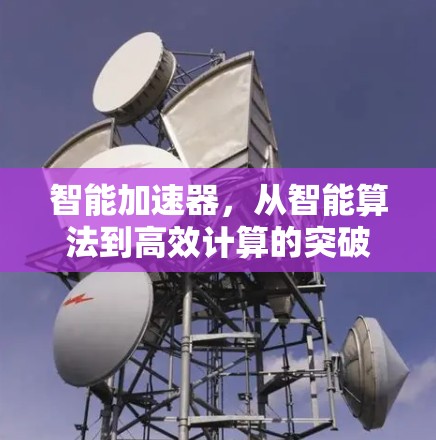 智能加速器，从智能算法到高效计算的突破