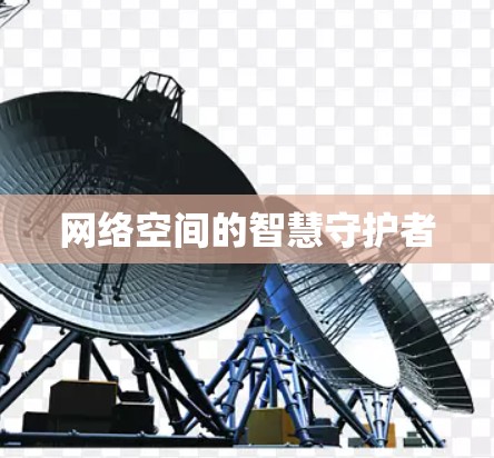 网络空间的智慧守护者 网络空间的智慧守护者