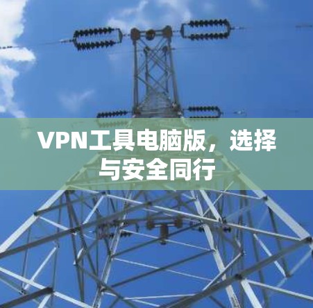 VPN工具电脑版,选择与安全同行 VPN工具电脑版,选择与安全同行