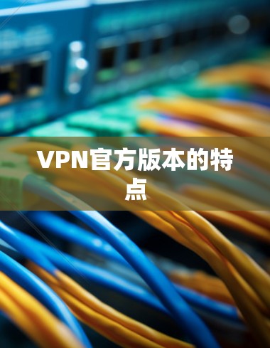 VPN官方版本的特点 VPN官方版本的特点