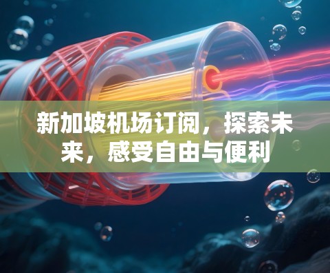 新加坡机场订阅,探索未来,感受自由与便利 新加坡机场订阅,探索未来,感受自由与便利