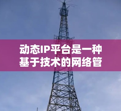 动态IP平台是一种基于技术的网络管理平台,旨在支持动态管理网络设备和IP地址,包括自动分配、配置和监控。以下是其特点、功能、应用场景及其优缺点的总结 动态IP平台是一种基于技术的网络管理平台,旨在支持动态管理网络设备和IP地址,包括自动分配、配置和监控。以下是其特点、功能、应用场景及其优缺点的总结