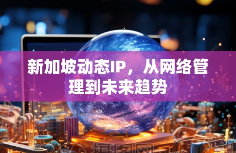 新加坡动态IP,从网络管理到未来趋势 新加坡动态IP,从网络管理到未来趋势