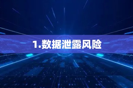 1.数据泄露风险 1.数据泄露风险