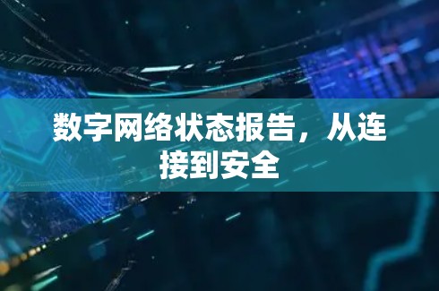 数字网络状态报告,从连接到安全 数字网络状态报告,从连接到安全