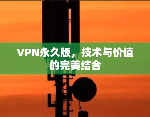 VPN永久版,技术与价值的完美结合 VPN永久版,技术与价值的完美结合