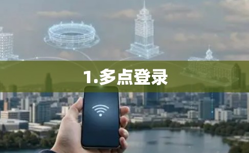 1.多点登录 1.多点登录