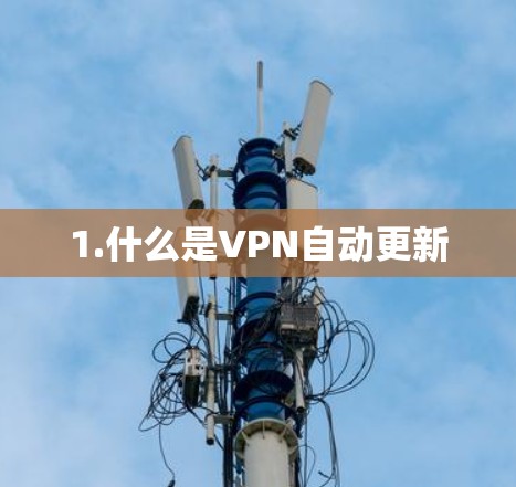 1.什么是VPN自动更新