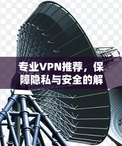 专业VPN推荐,保障隐私与安全的解决方案 专业VPN推荐,保障隐私与安全的解决方案