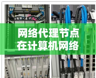 网络代理节点在计算机网络中扮演着关键角色,特别是在管理多个终端电脑和第三方服务时起着核心作用。以下是对网络代理节点的详细解释和总结 网络代理节点在计算机网络中扮演着关键角色,特别是在管理多个终端电脑和第三方服务时起着核心作用。以下是对网络代理节点的详细解释和总结