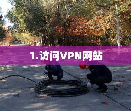 1.访问VPN网站 1.访问VPN网站
