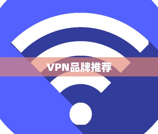 VPN品牌推荐 VPN品牌推荐