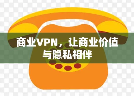 商业VPN,让商业价值与隐私相伴 商业VPN,让商业价值与隐私相伴