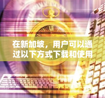 在新加坡,用户可以通过以下方式下载和使用VPN服务 在新加坡,用户可以通过以下方式下载和使用VPN服务