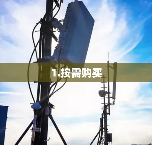 1.按需购买 1.按需购买