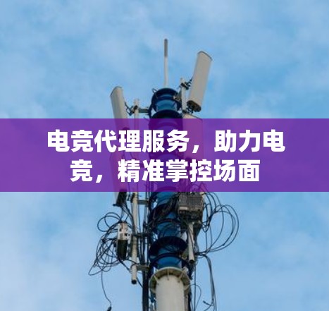 电竞代理服务,助力电竞,精准掌控场面 电竞代理服务,助力电竞,精准掌控场面