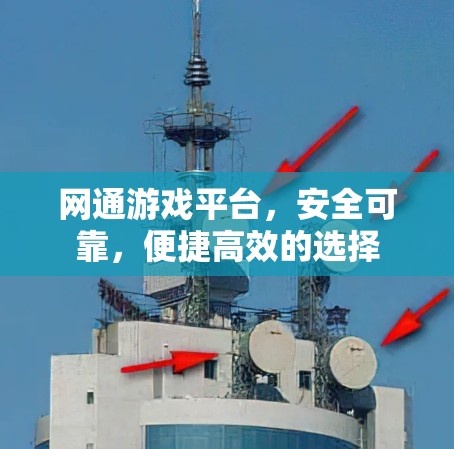 网通游戏平台,安全可靠,便捷高效的选择 网通游戏平台,安全可靠,便捷高效的选择