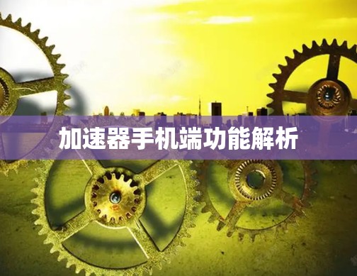 加速器手机端功能解析