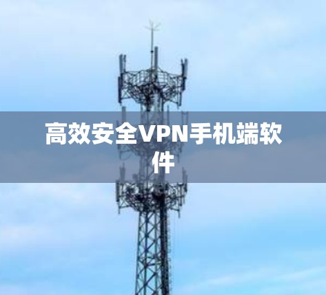 高效安全VPN手机端软件